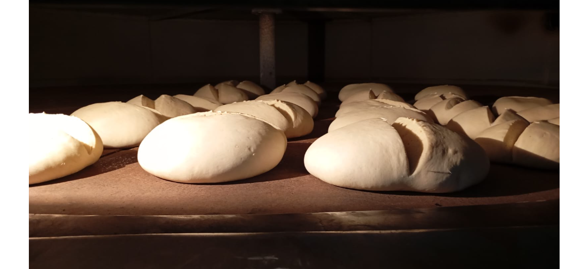horno con muchas hogazas de pan