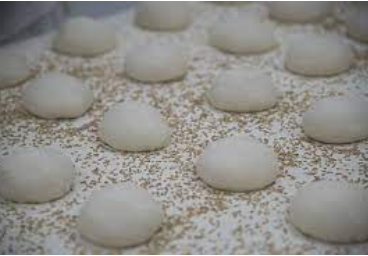 Molletes
