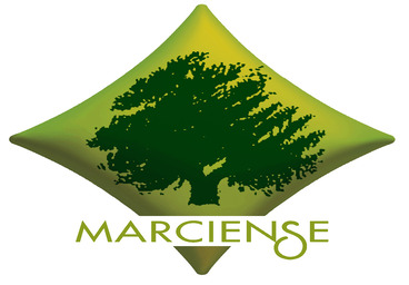 enlace a pagina