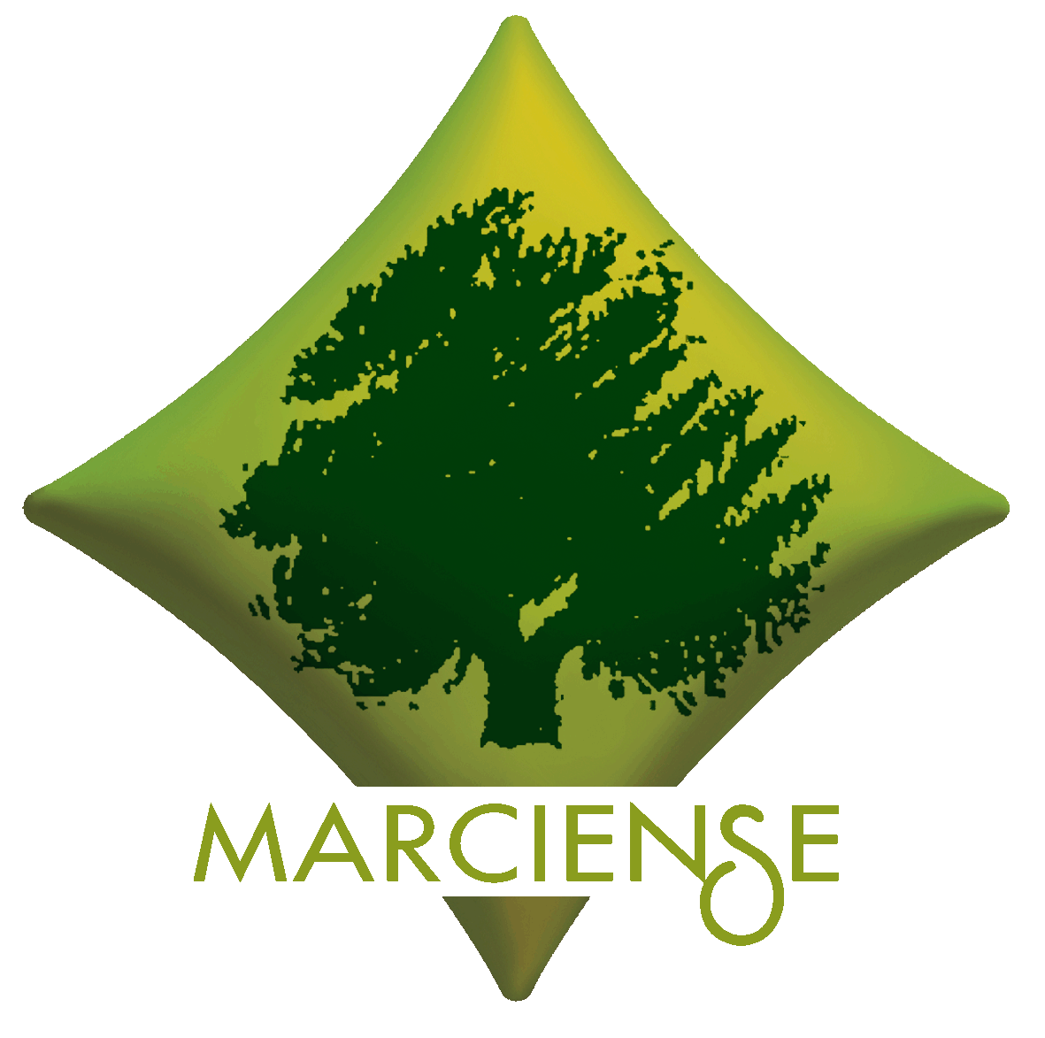 Nuevo logo Marciense Imagen logo marciense